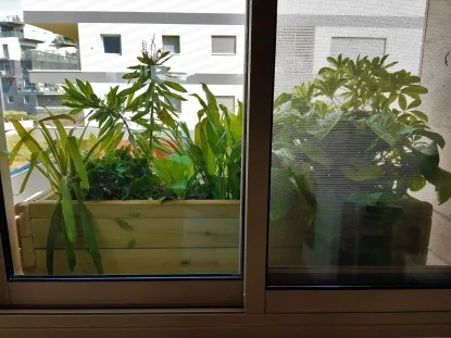 אדניות נמוכות באדן חלון